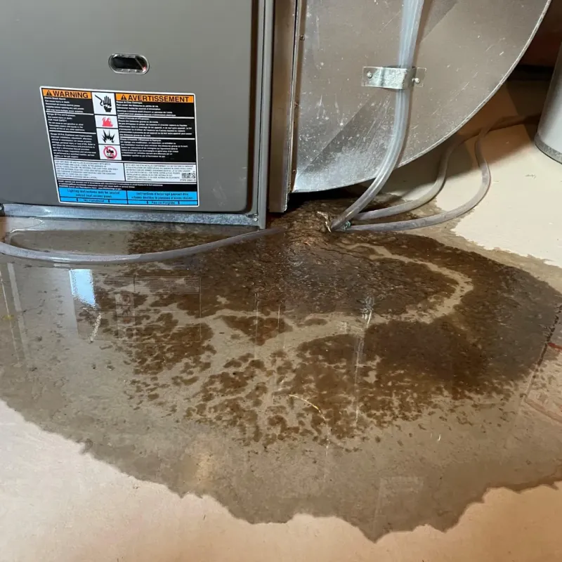 Appliance Leak Cleanup in DeKalb County, GA